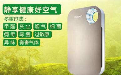 凈派空氣凈化器 煙氣管道凈化解決方案