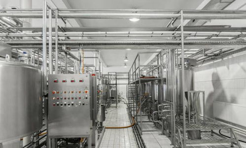 經濟危機中的荒謬抉擇 重演傾倒牛奶的警示